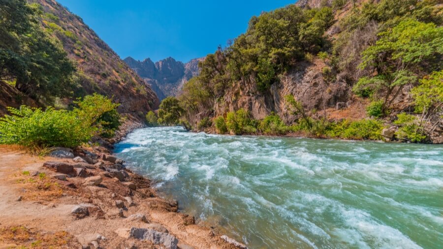 Spring morning on the Kings River at Kings Canyon National Park, CA (P) (1)