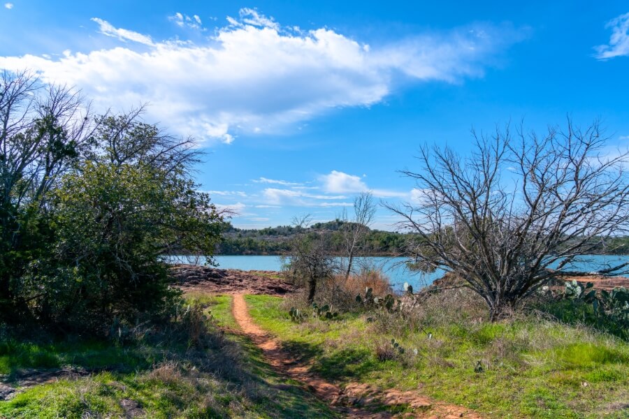 View of Walking Trail Through TExas Inks Lake Park With Lake in the background (1)