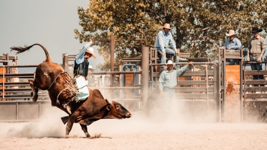 best rodeos in texas featured image