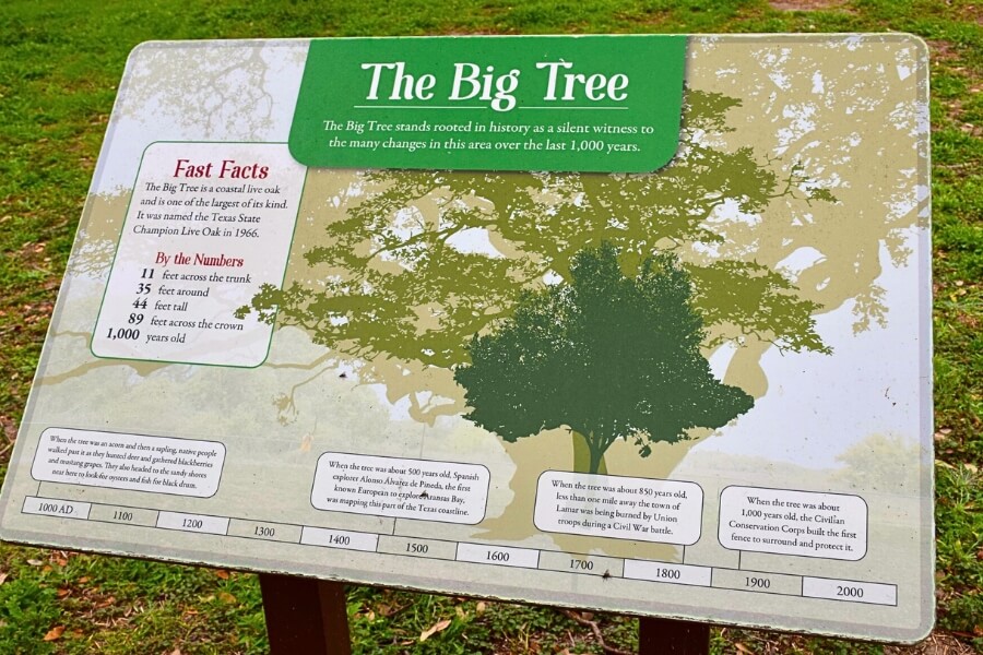 big tree sign goose island 