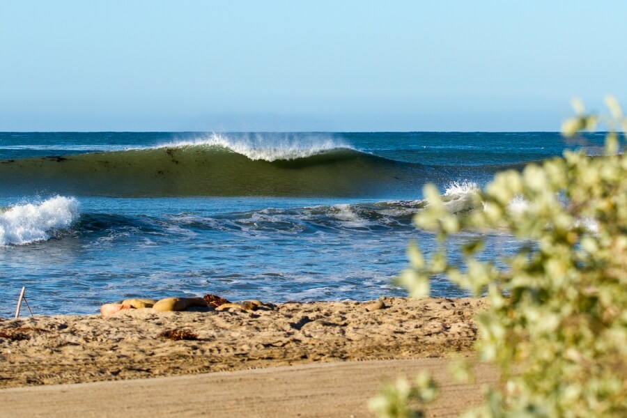 trestles california surfing wave 