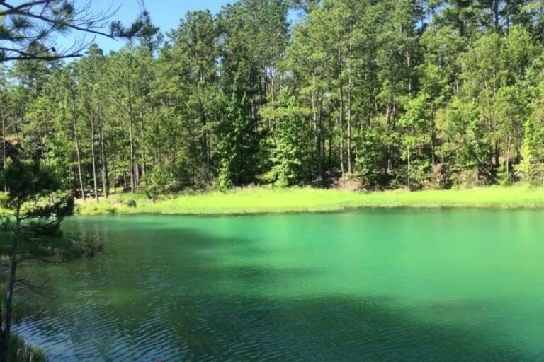 NATURAL SPRINGS IN TEXAS TO SWIM visual data 4