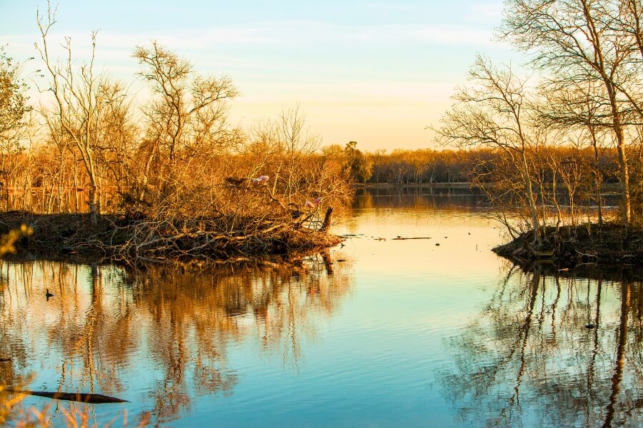 Brazos Bend State Park, Houston, Texas, USA at sunset.