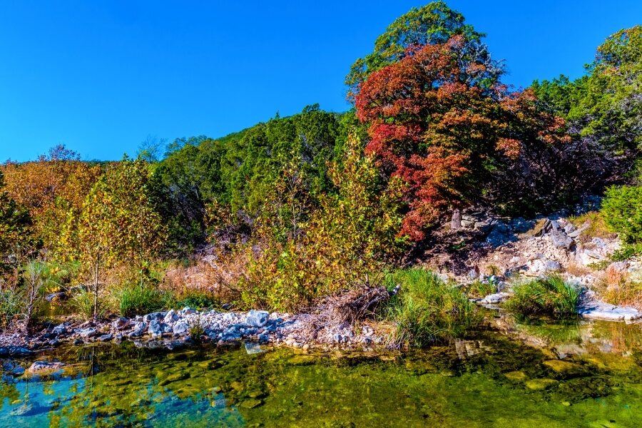 Lost Maples State Park, Texas