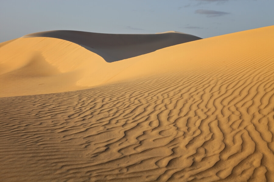 Monahans Sandhills State Park