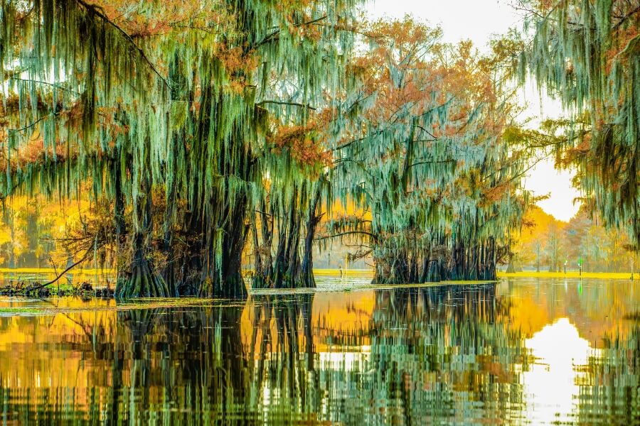 caddo lake