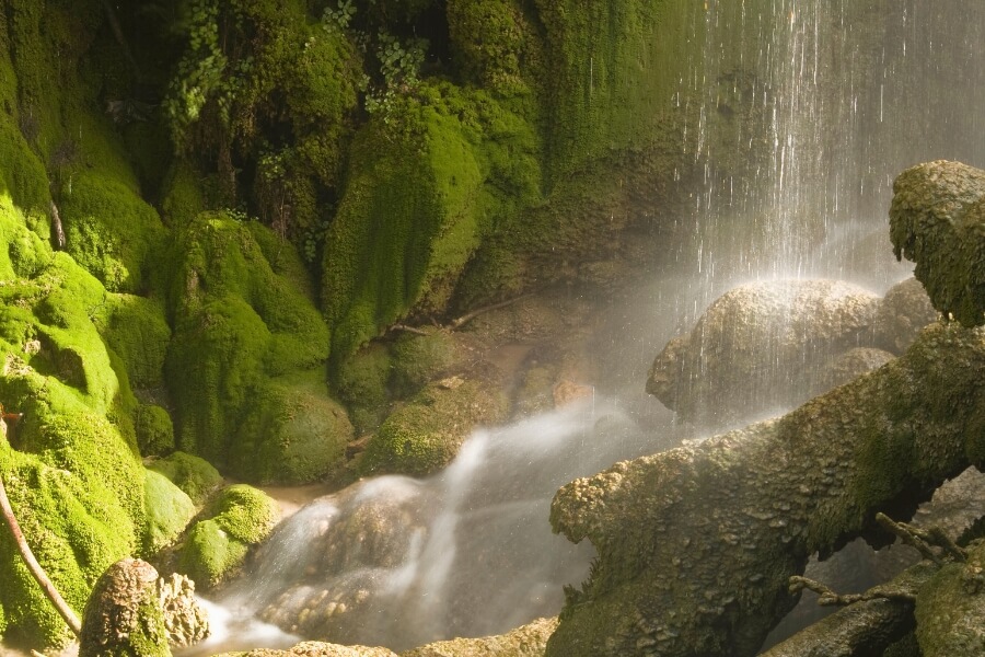 gorman falls colorado bend state park