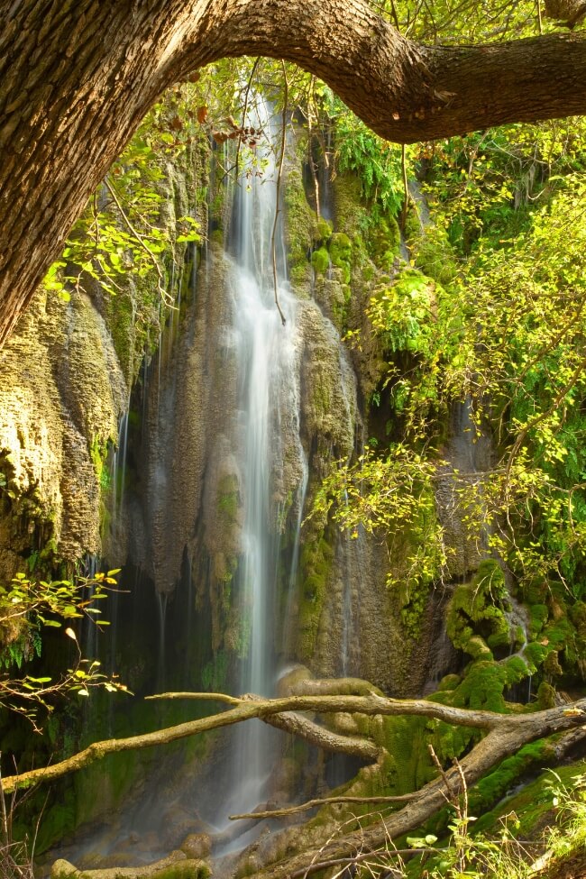 gorman falls colorado bend state park