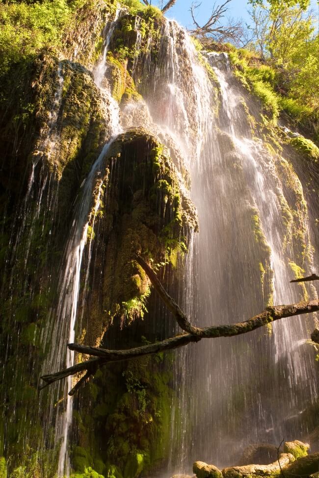 gorman falls colorado bend state park