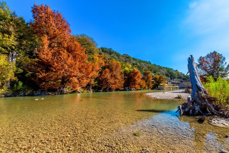 guadalupe river state park guadalupe river state park