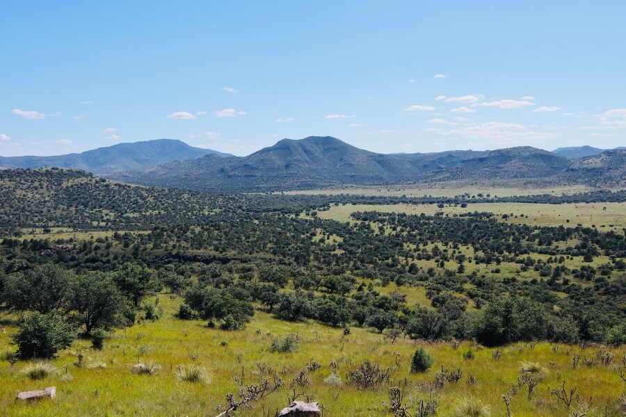 davis mountains texas 