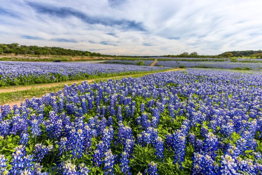 muleshoe bend recreation area 