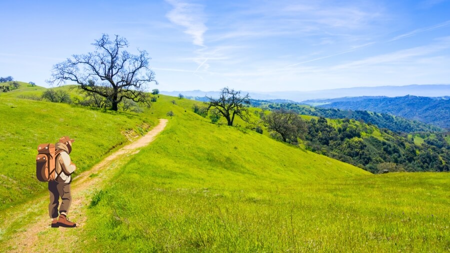 second largest state park in california featured image