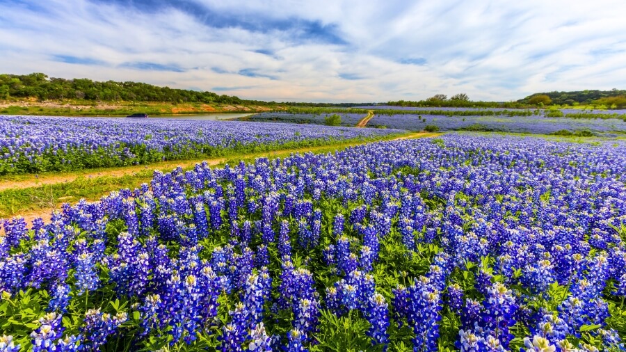 things to do in hill country featured image