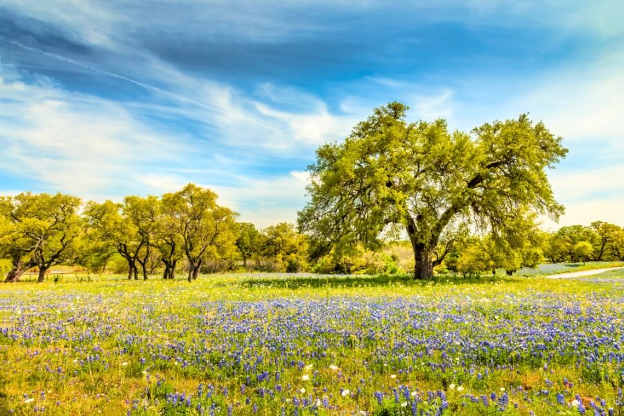 willow city loop texas