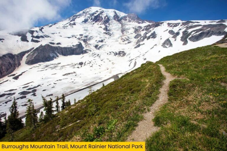 21 Best Hikes In The U.S. That You Have To Do At Least Once
