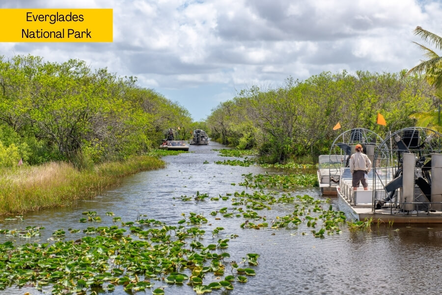 everglades national park everglades national park