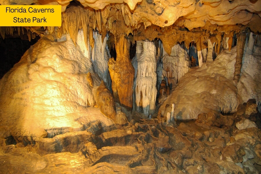 florida caverns state park florida caverns state park