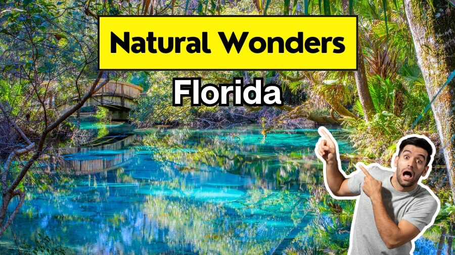 florida natural wonders featured image