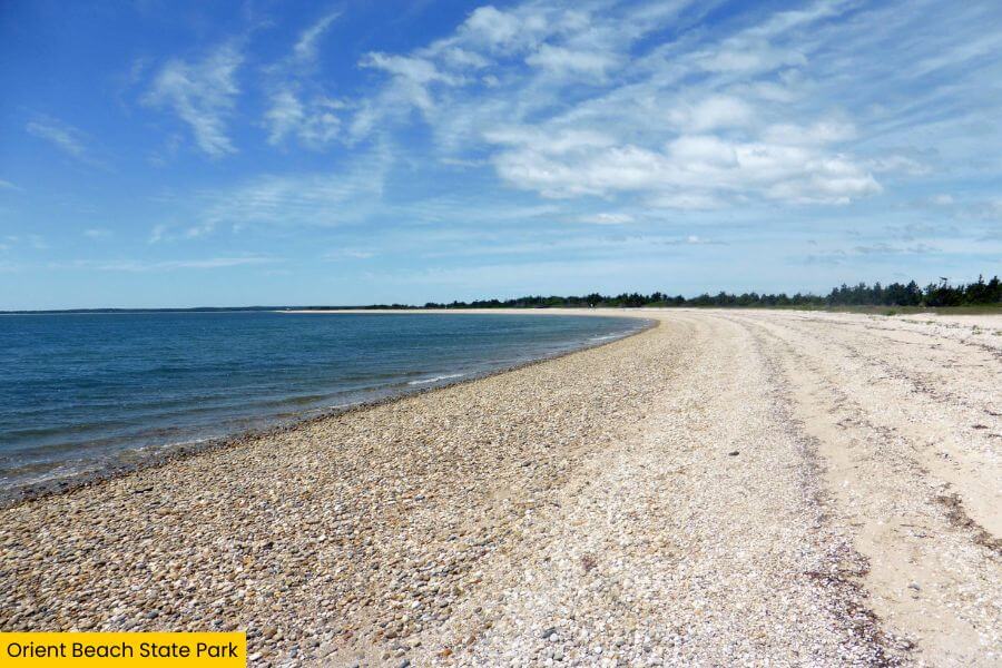 Blog Image (9) (1)