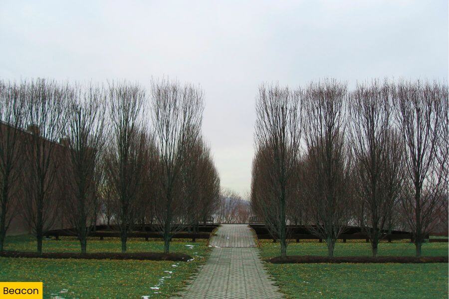 Blog Image (42) (1)