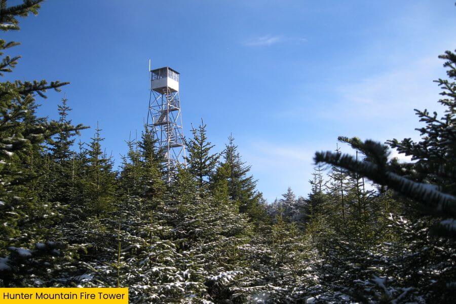 Blog Image (1)