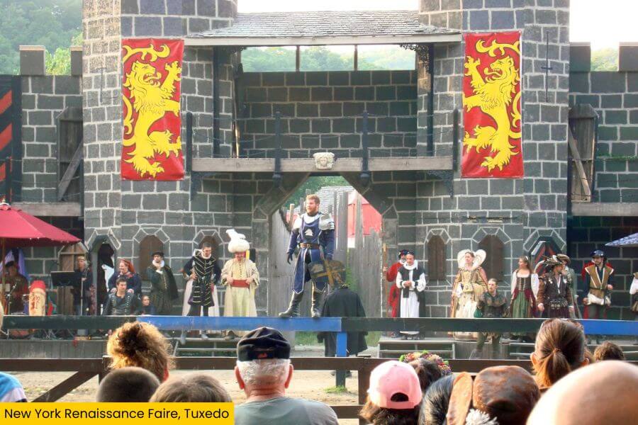 Blog Image (16) (1)