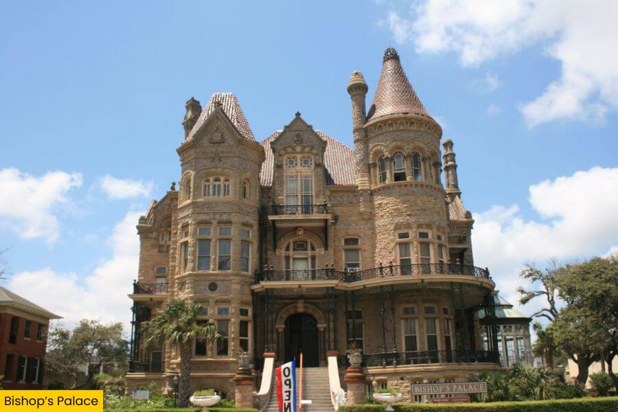 Blog Image (19) (1)