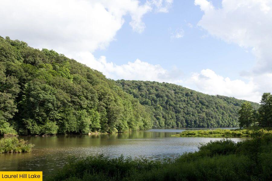 Blog Image (20) (1)
