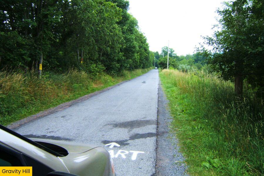 Blog Image (45) (1)