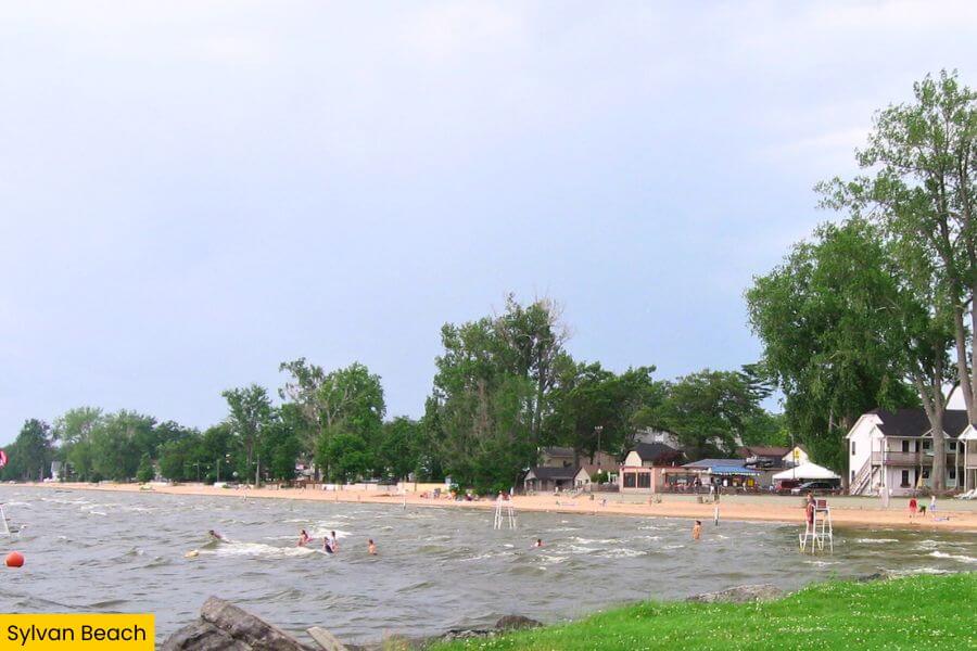 Blog Image (7) (1)