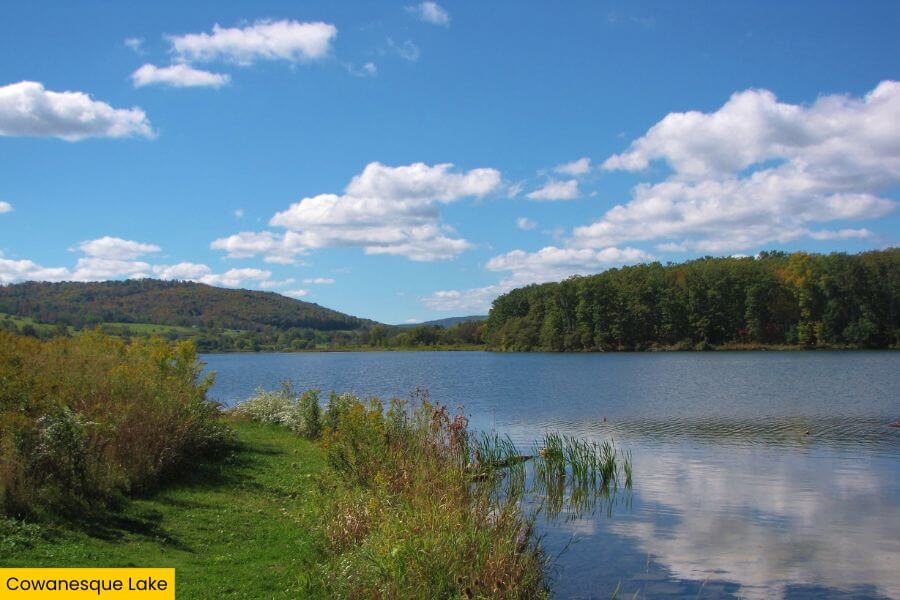 Blog Image (9) (1)