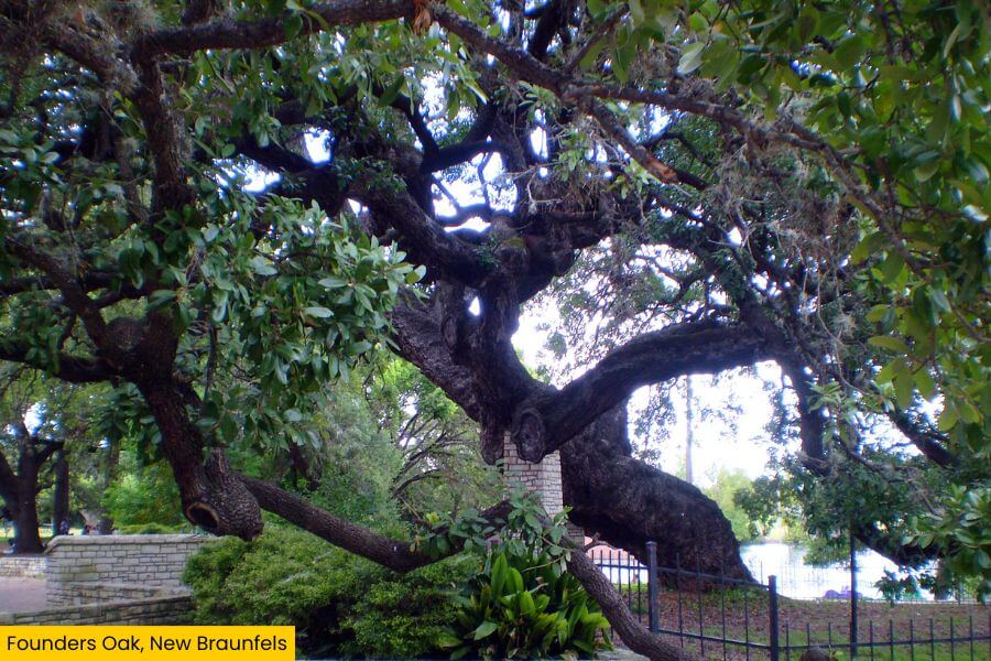 Blog Image (11) (1)