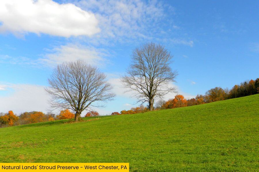 Blog Image (13) (1)