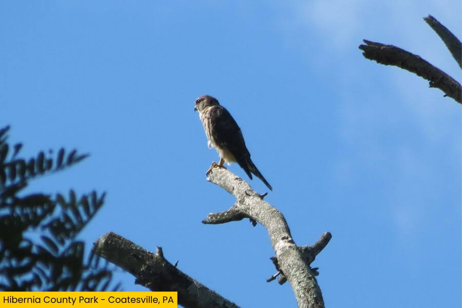 Blog Image (18) (1)