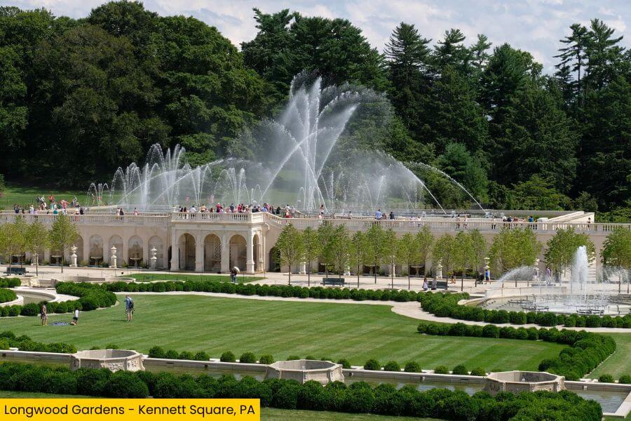 Blog Image (19) (1)