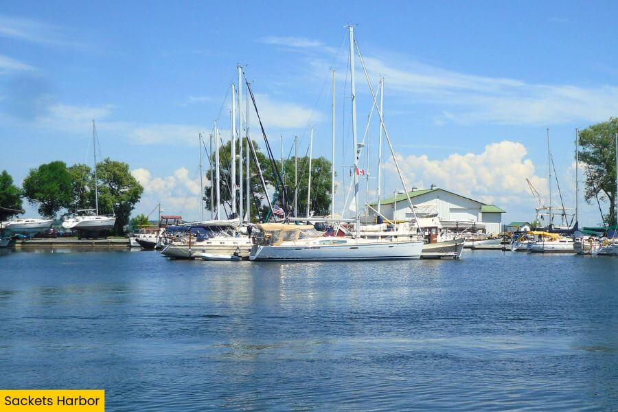 Blog Image (24) (1)