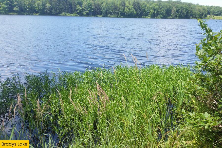 Blog Image (5) (1)
