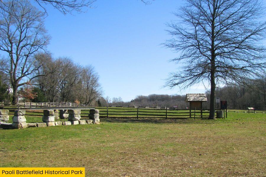 Blog Image (5) (1)