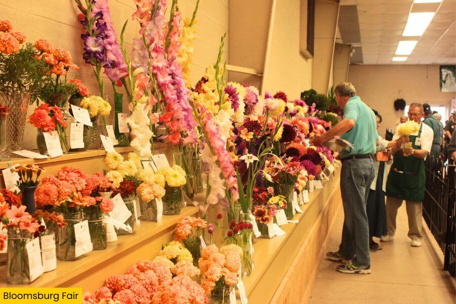 Blog Image (50) (1)