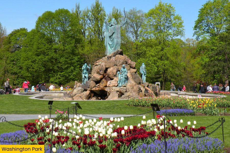 Blog Image (56) (1)