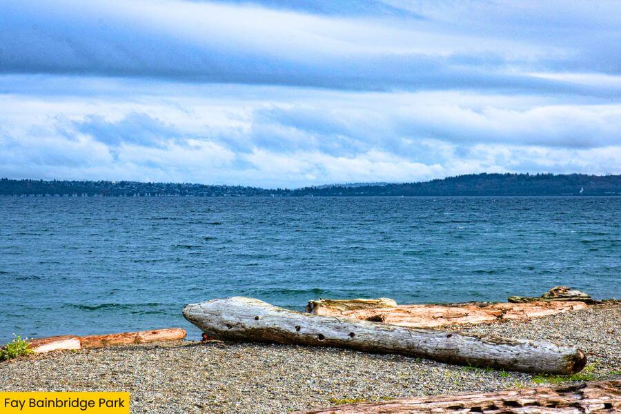 Blog Image (12) (1)