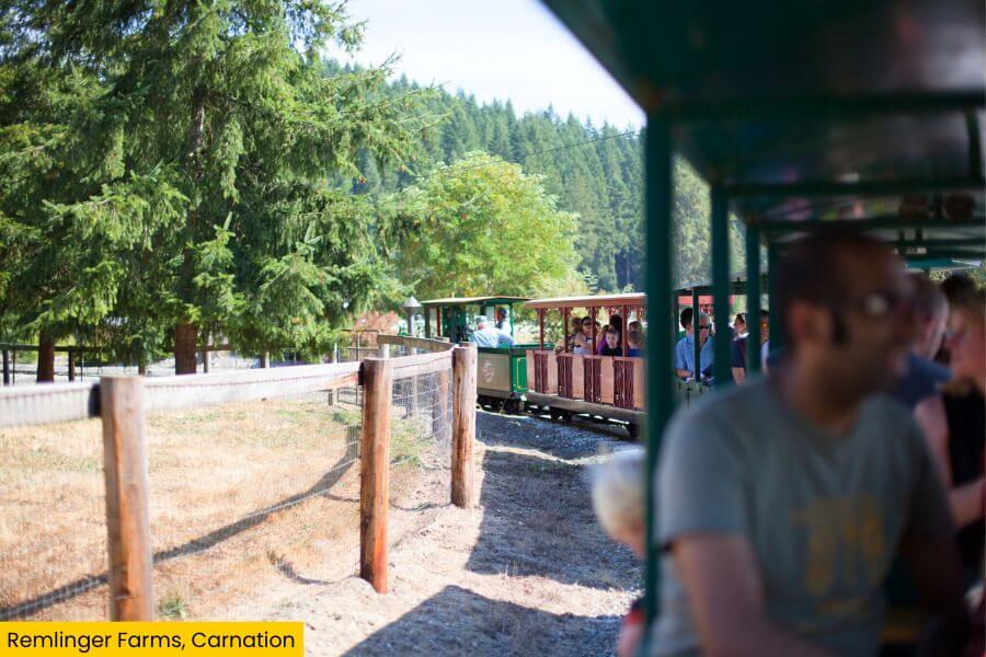 Blog Image (22) (1)