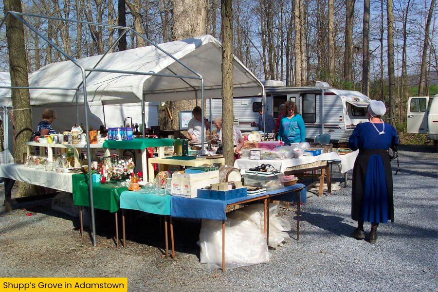 Blog Image (27) (1)