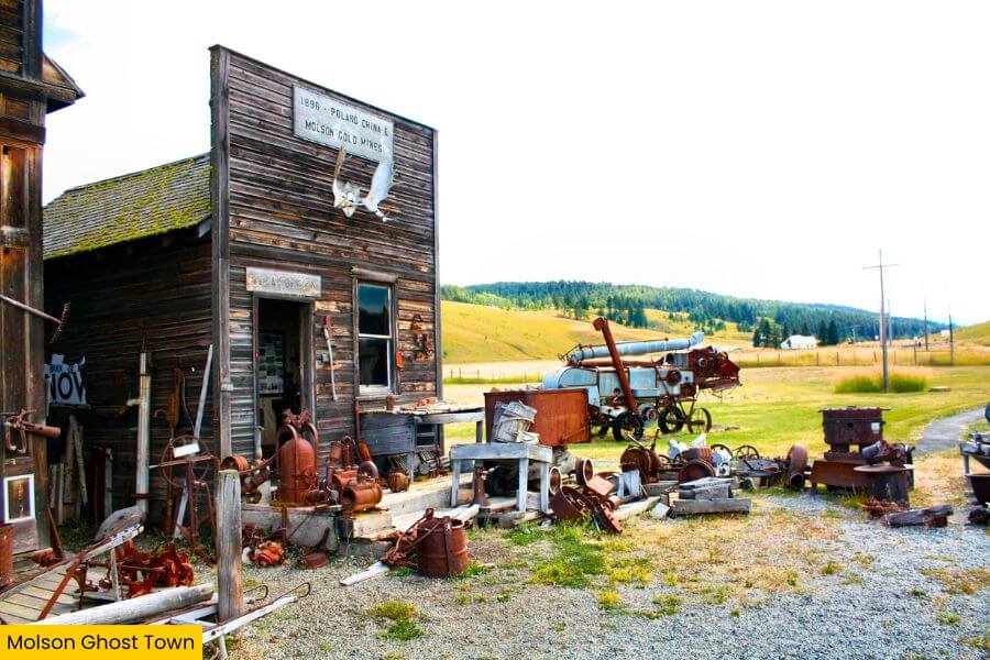 Blog Image (8) (1)