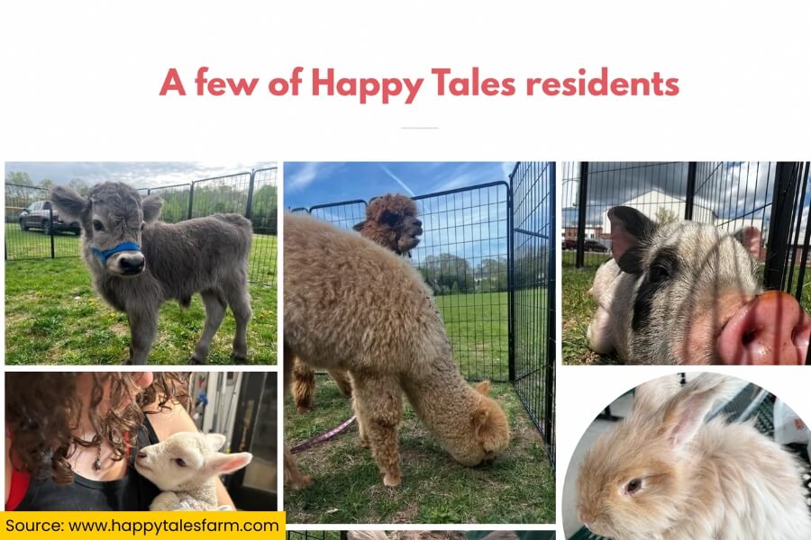 happytalesfarm website image happytalesfarm website image