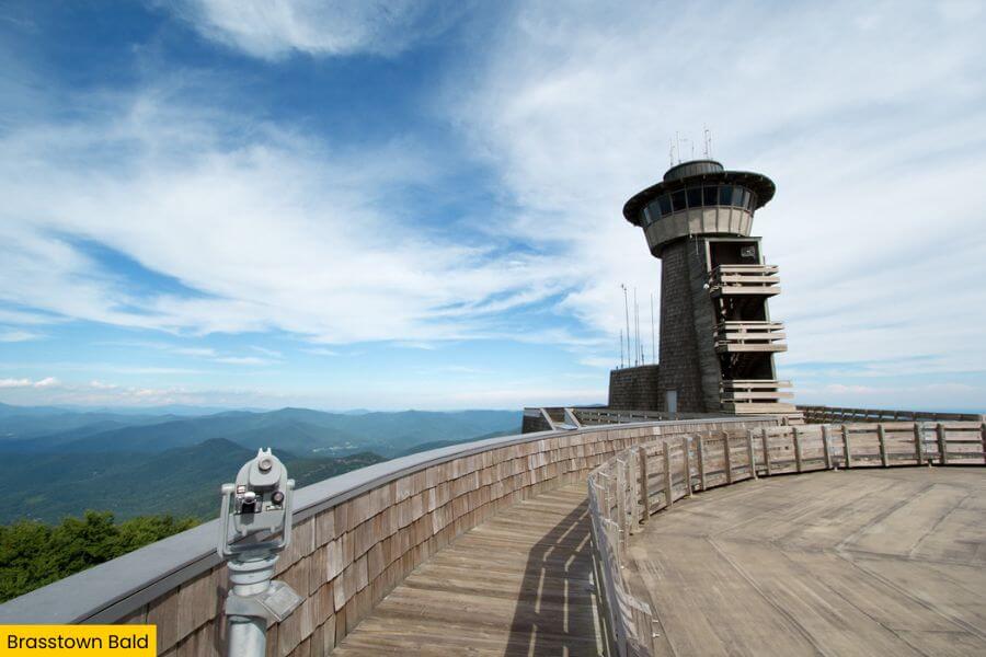 Blog Image (15) (1)