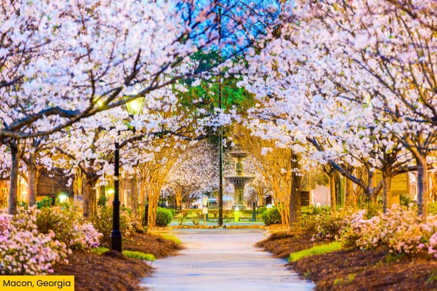 macon georgia macon georgia