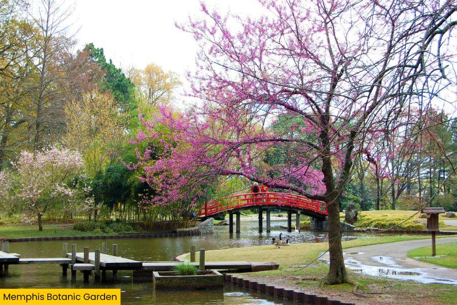 Blog Image (1)