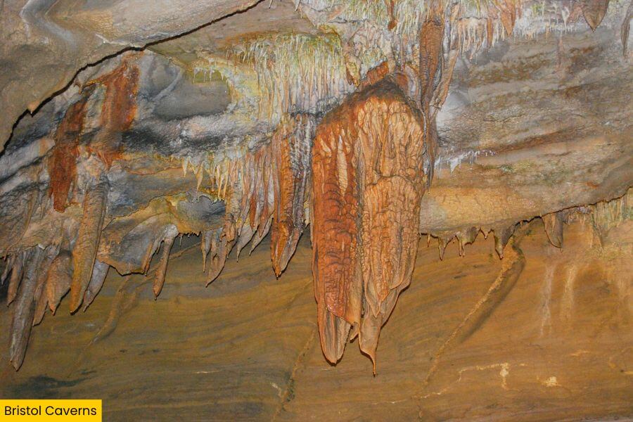 Blog Image (1)